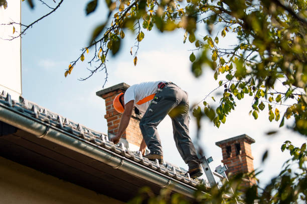 Best Storm Damage Roof Repair  in Burns Harbor, IN