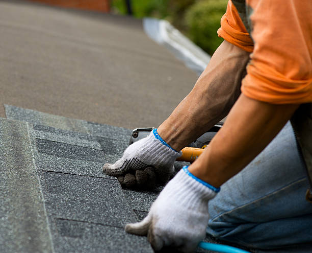 Best Roof Gutter Cleaning  in Burns Harbor, IN